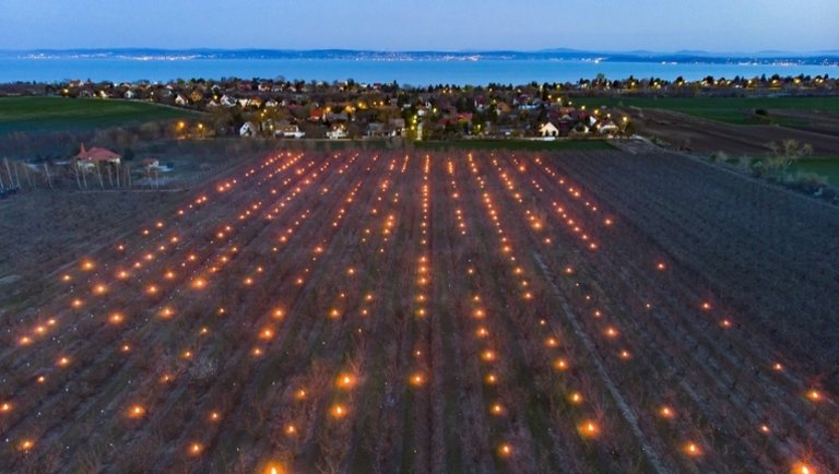 Fagyvédelmi paraffinfáklya 180 perces - Image 3
